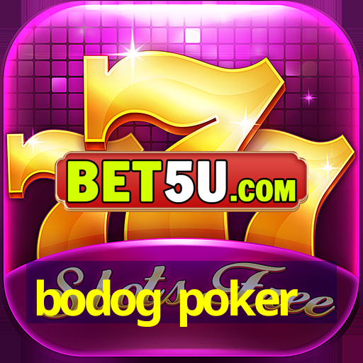 bodog poker